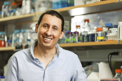 Dr. Steve L. Bonilla