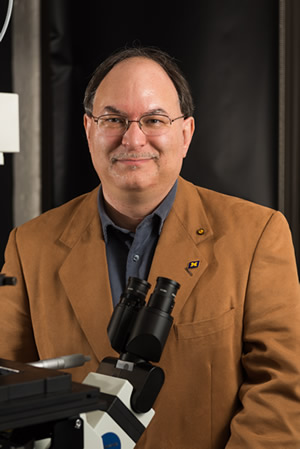 Professor Nils Walter