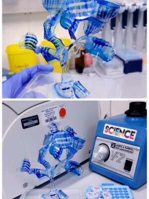 Post-experimental Life of RNA-binding Proteins