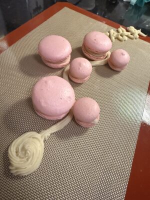 Macaro Molecular Machines